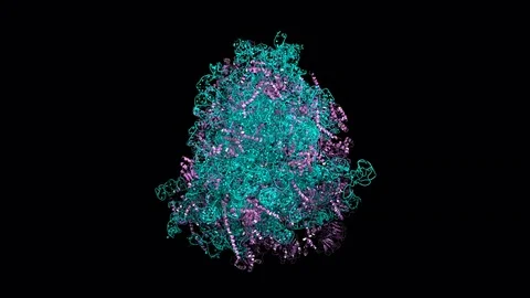 Ribosome, rotating model Stock Footage 83653423