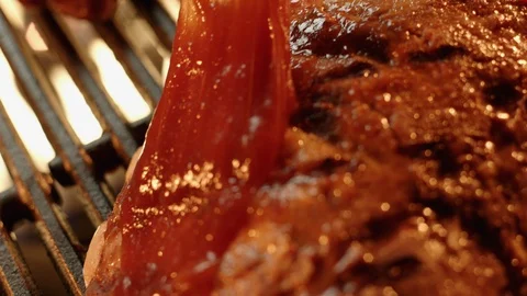 Ribs on Grill being brushed with Barbeque Sauce GT9039 Stock Footage 129639498