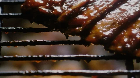 Ribs on grill Stock Footage 110816443