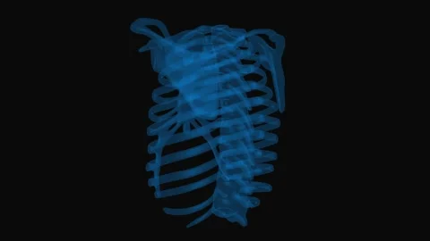 Ribs wireframe with thin blue lines. Human skeleton on black background x-ray  Stock Footage 141986921