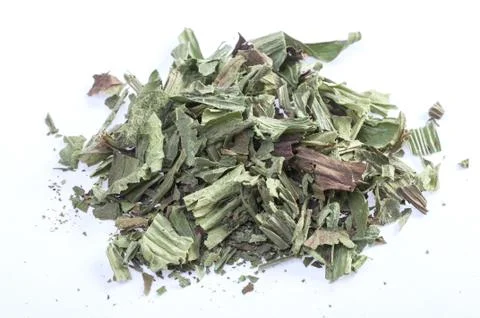 Ribwort herb 스톡 사진
