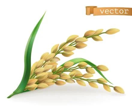 Rice. 3d vector icon Stock Illustration