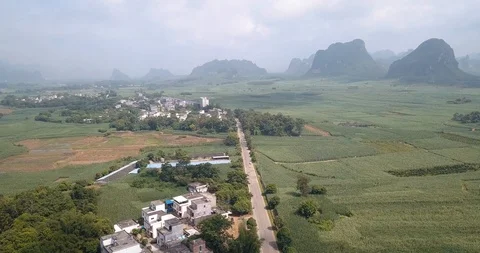 Rice and sugar cane fields of south China aerial view Stock Footage 114637595