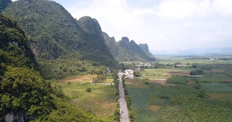 Rice and sugar cane fields of south China aerial view Stock Footage 114650219