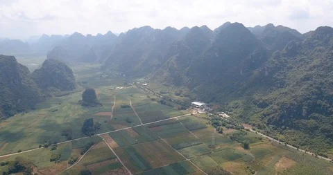 Rice and sugar cane fields of south China aerial view Stock Footage 114650809