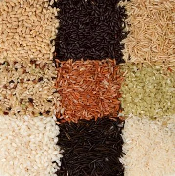 Rice background arranged in a checkerboard pattern Stock Photos