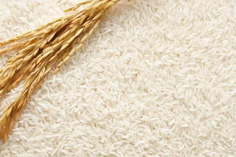 Rice background Stock Photos