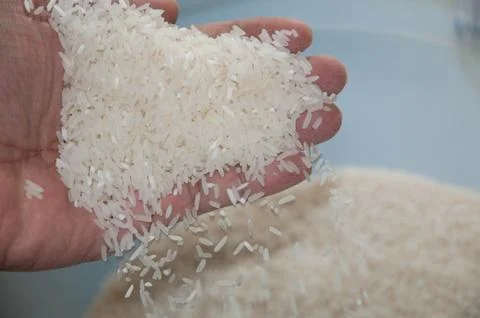 Rice background Stock Photos