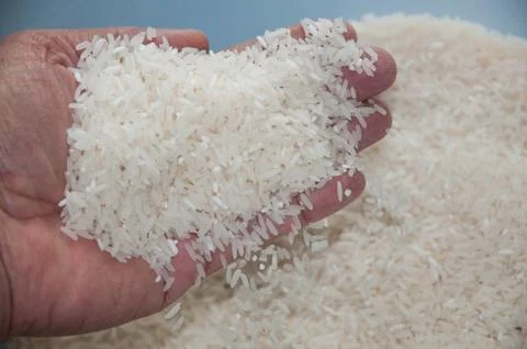 Rice background Stock Photos