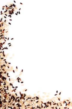 Rice background. Stock Photos