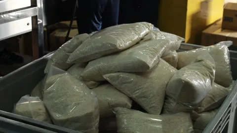 RICE bags Stock-Footage 250335609