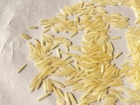 Rice big colour Stock Photos