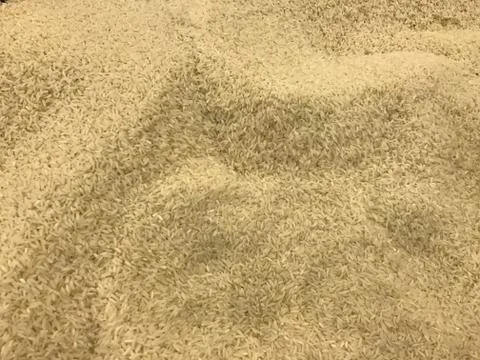 Rice Bin Stock Photos