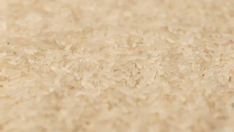 Rice brown, side view. Rice, dolly shot. Stock Footage 144925693
