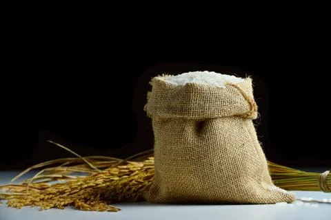 Rice in burlap sack Foto stock