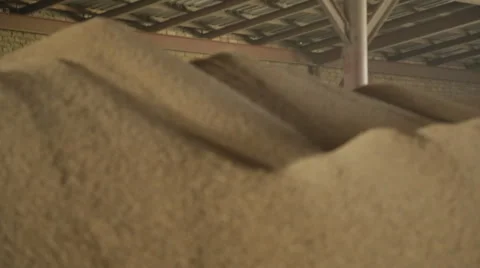Rice chaff mountain Stock Footage 64555440