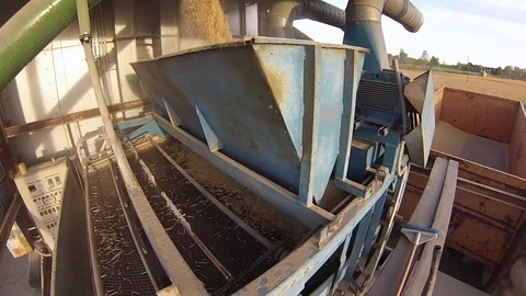 Rice Cleaning Machine Stock Footage 81613448