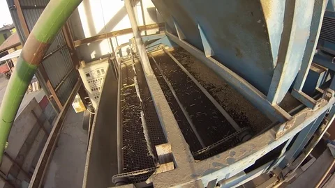 Rice Cleaning Machine Stock Footage 81776270