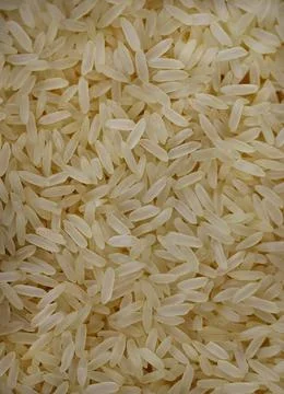 Rice close up 스톡 사진