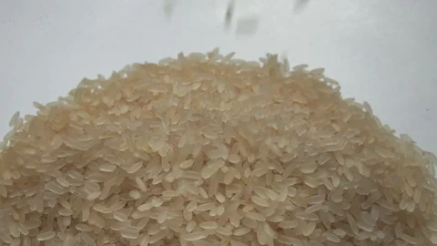 Rice close up in slow motion Stock Footage 126836212