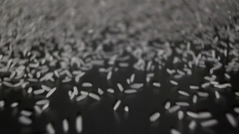  Rice coming towards the camera Stock-Footage 81805559