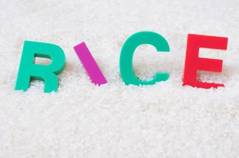 Rice concept Stock Photos