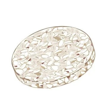 Rice crispbread vector isolated on white background Stock Illustration