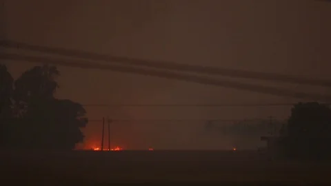 Rice crop on fire 2 Video stock 104404965