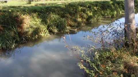 Rice cultivation and processing, irrigation canal Stock Footage 110809778