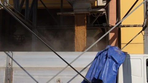 Rice cultivation and processing, loading of rice from the silos Video stock 110809837