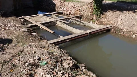 Rice cultivation and processing, nets for fishes 動画素材 110810282