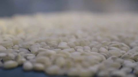 Rice cultivation and processing, rice on a table Video stock 110809966