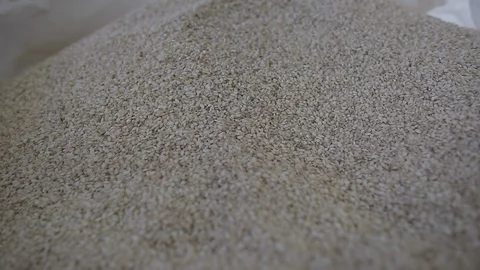 Rice cultivation and processing, rice details Video stock 110810288