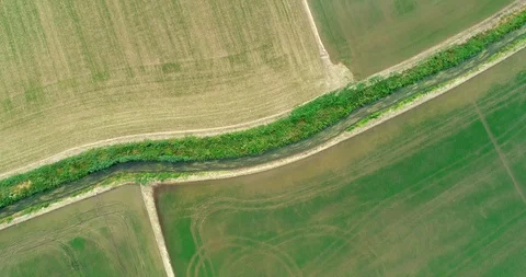Rice cultivation Stock Footage 110785383