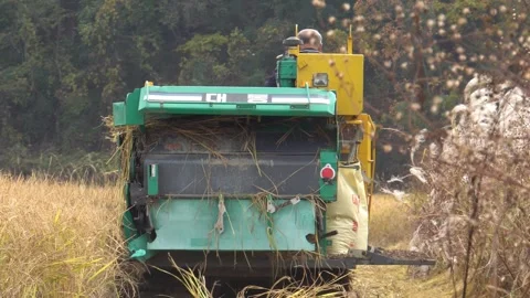 Rice cutting machine in the rice field Stock Footage 255496949