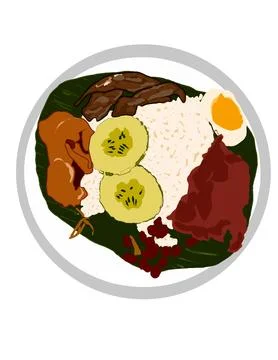 Rice dish Stock Illustration