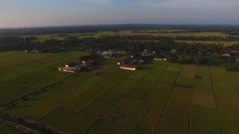 Rice drones in the village rice fields Stock Footage 128221378