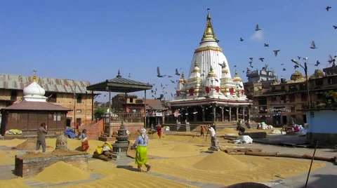 Rice drying in Bungamati, Nepal Stock-Footage 65138486