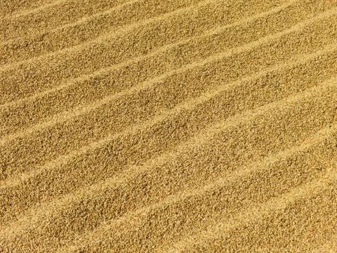 Rice drying in the sun Stock Photos