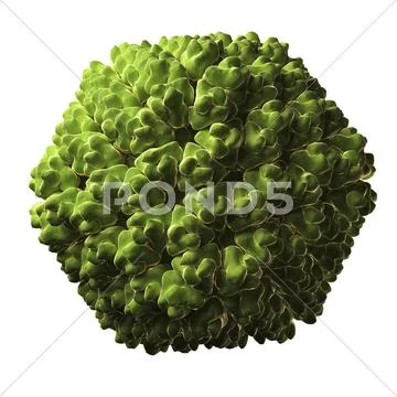 Rice dwarf virus particle Stock Illustration