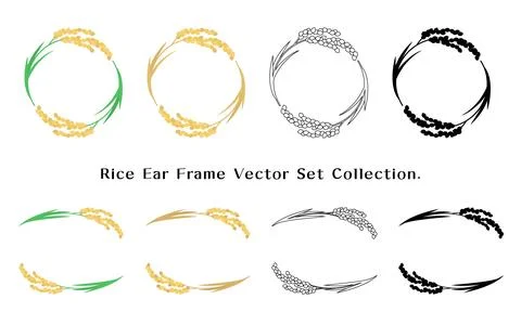 Rice Ear Frame Vector Set Collection Stock Illustration