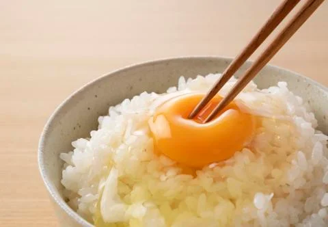 Rice with egg in the background of a tree Stock Photos