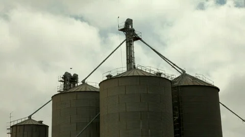 Rice factory Vidéo 596197