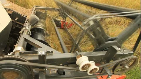 Rice farm Stock Footage 12739756