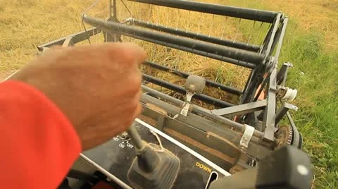 Rice farm Stock Footage 12755605