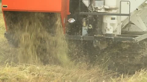 Rice farm Video stock 14923750
