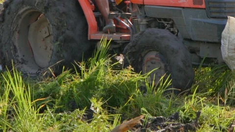 Rice farm Stock Footage 91344886