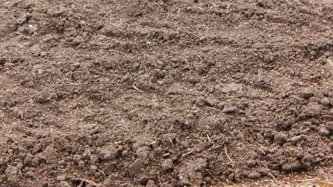 Rice farm Video stock 91414508