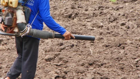 Rice farm Stock Footage 91414591