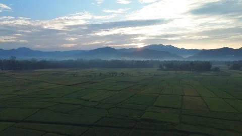 Rice Farming Stock Footage 274696983
